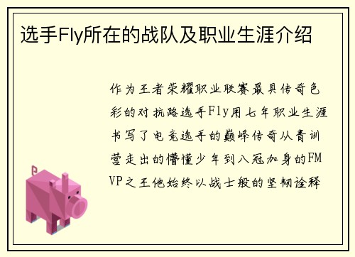 选手Fly所在的战队及职业生涯介绍