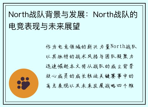 North战队背景与发展：North战队的电竞表现与未来展望