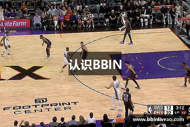 认识BBIN